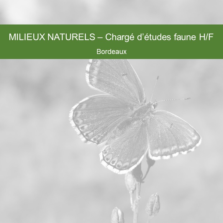 Offre_CE-faune_Bdx